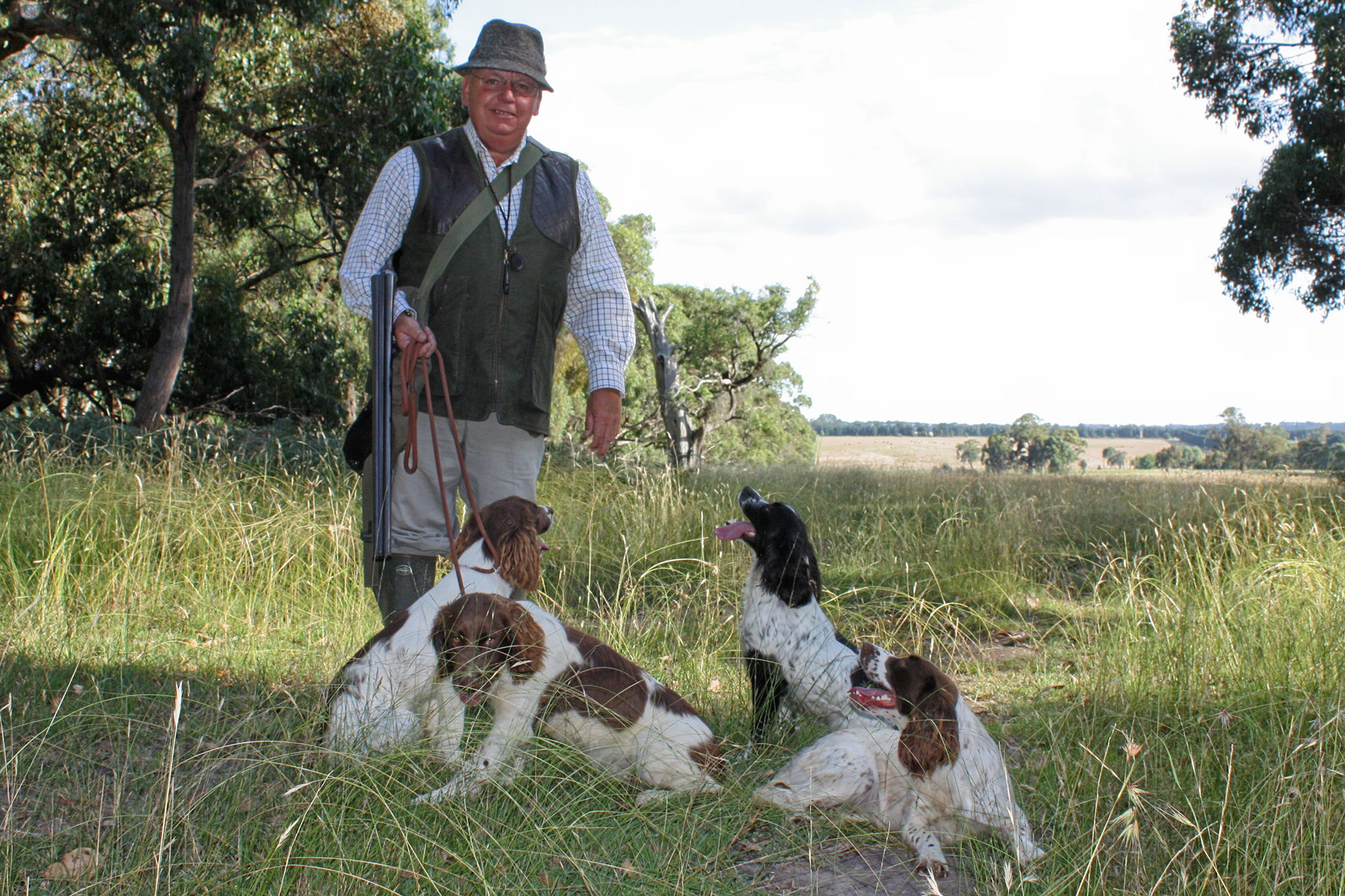 Glastonpark spaniels sale